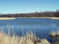 LeFurge Wetland Area